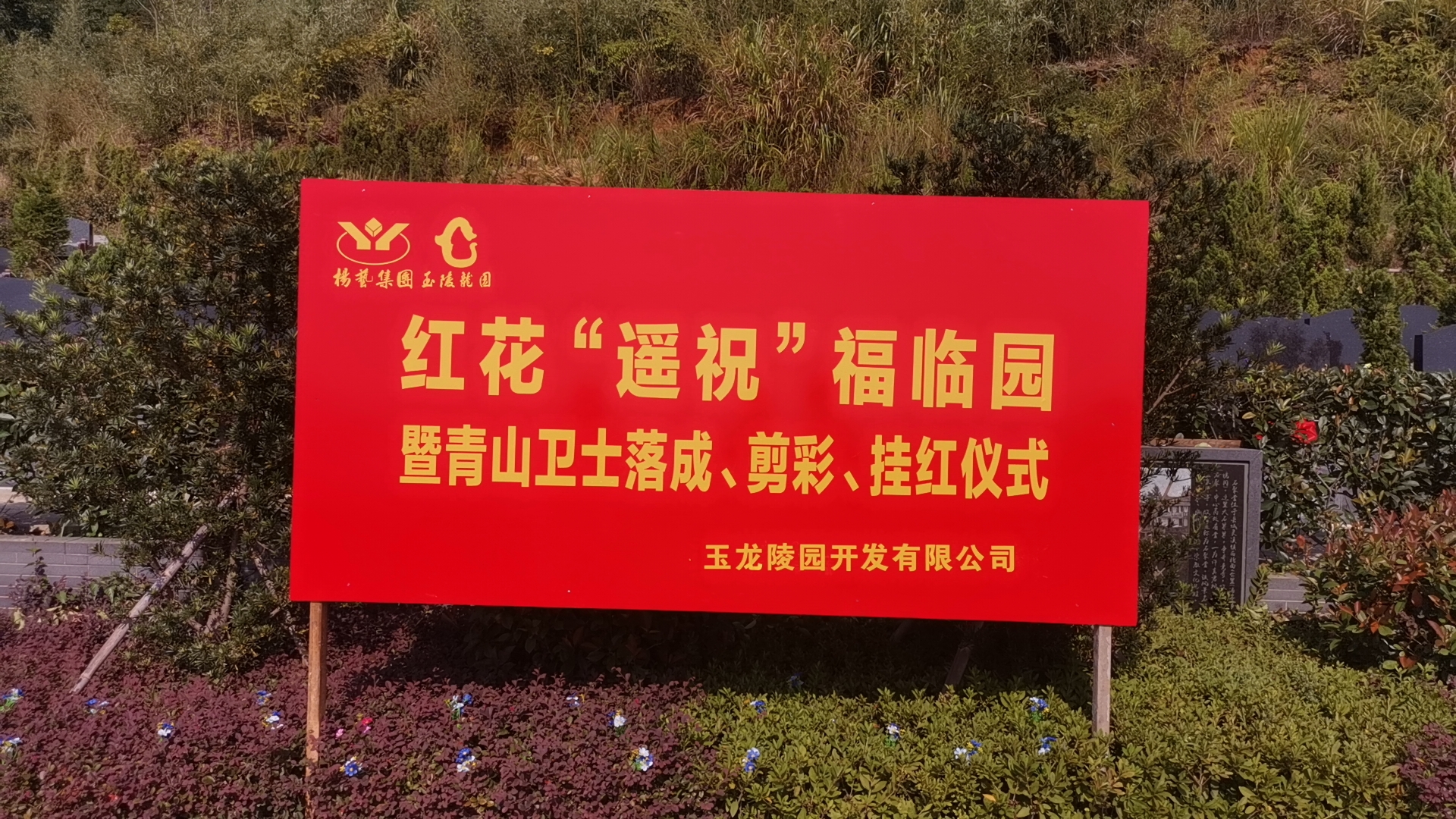 红花传爱意，情满玉龙园！