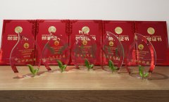 “天富娱乐杯”浙江省节地生态安葬设计作品奖