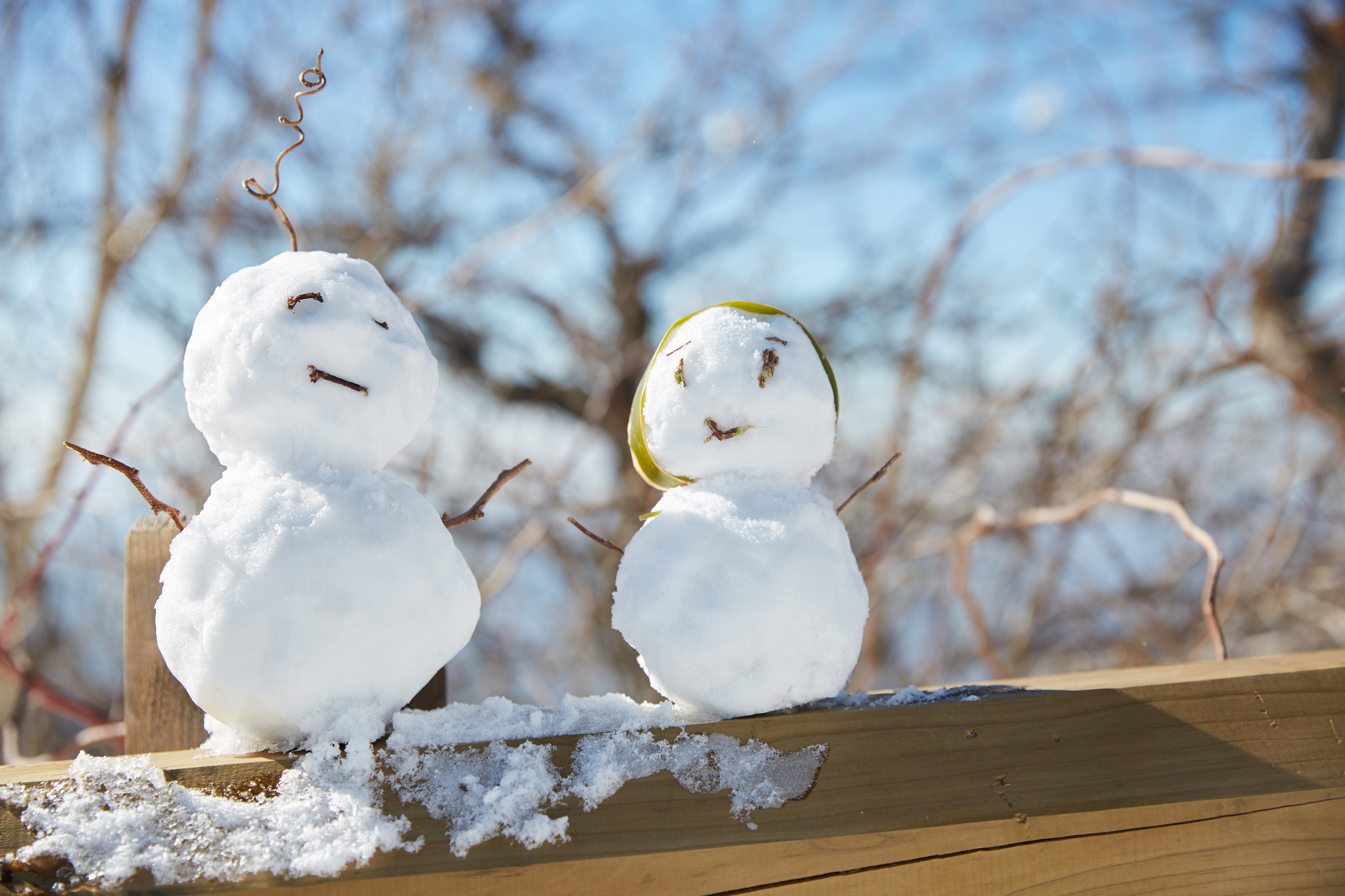 冬至，暖“杨”相伴 | 天富娱乐人全力配合各墓园冬至落葬