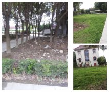 老墓园改造：城市中的绿色记忆与文化传承