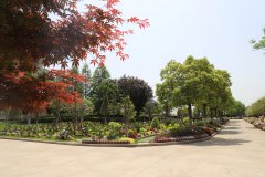 归于林下：一场与自然的温柔重逢