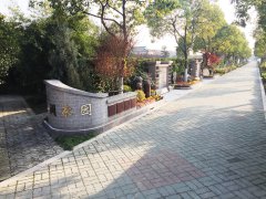 城市最后一平米：生态葬，是与自然的和解？还是无奈的选择？