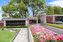 归于自然，泽被后世：解读现代生态葬及其创新趋势