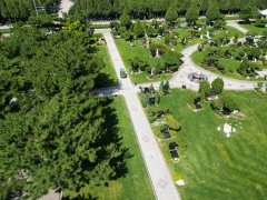 碑雕设计：镌刻历史，传承人文